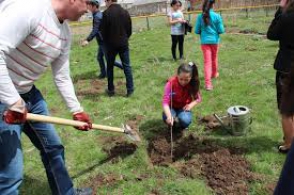 Ծառատունկը  կիրականացվի բացառապես ոռոգելի տարածքներում